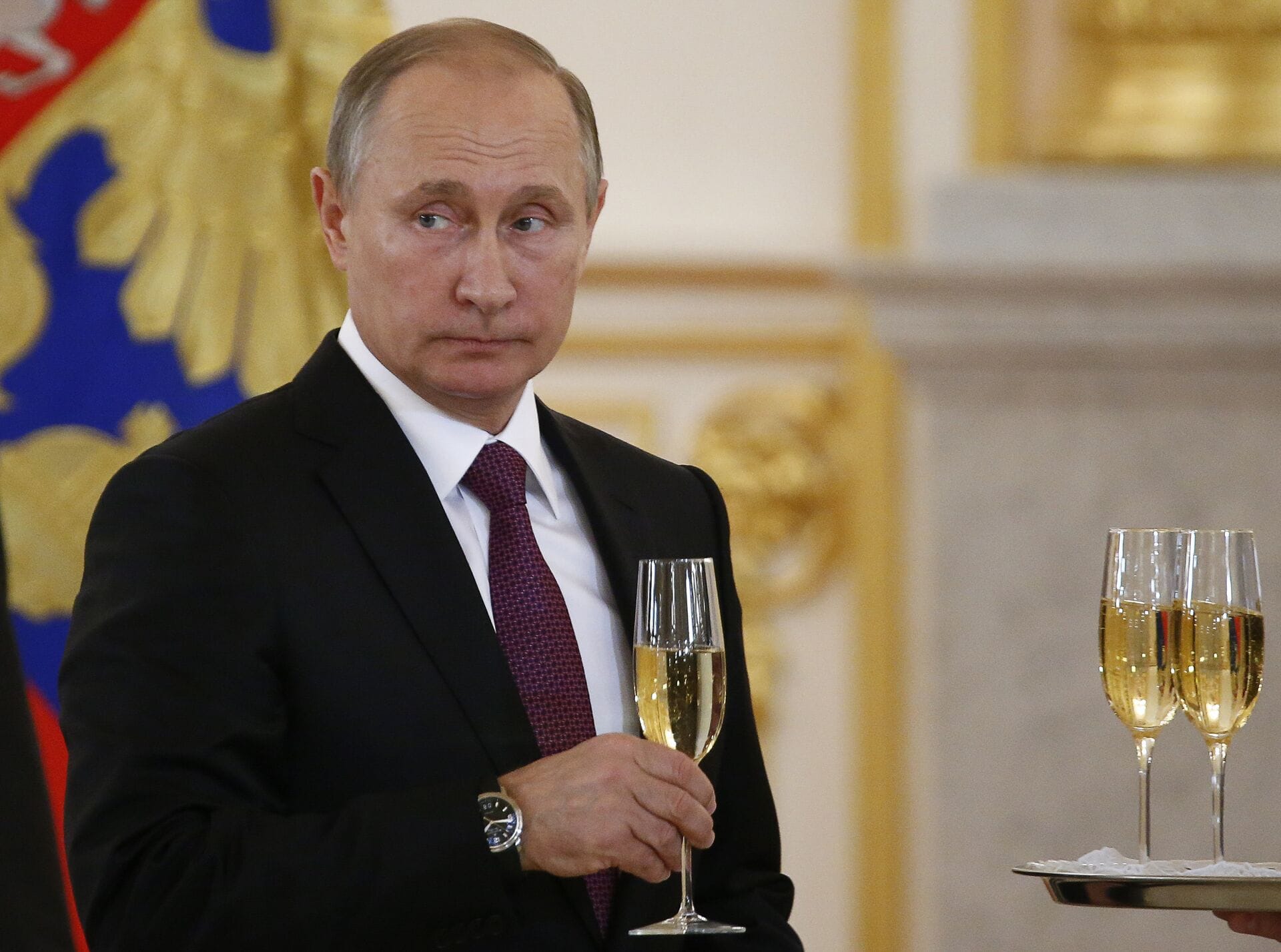 Превратил деньги в вино. Винодельни при дворце Путина убыточны, несмотря на вложенные в них миллиарды